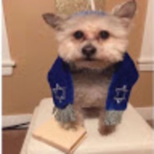 Meet your Posher, Alana